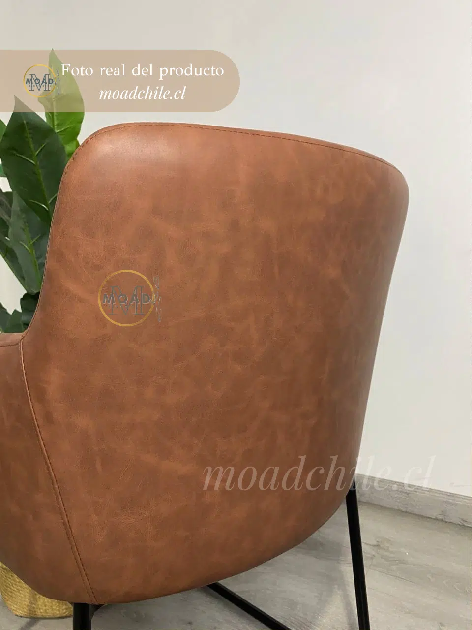 BUTACA ALBANIA ECOCUERO CON PATAS NEGRAS Y ANTEBRAZOS 3 (10)