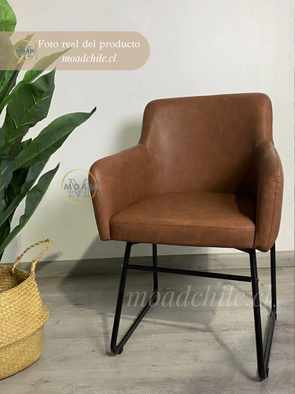 BUTACA ALBANIA ECOCUERO CON PATAS NEGRAS Y ANTEBRAZOS 7 (2)