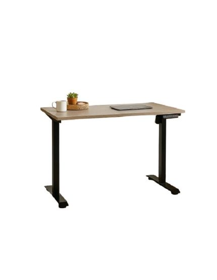Escritorio Elevable Eléctrico - Altura Ajustable y Diseño Ergonómico